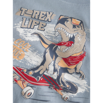 NAME IT T-shirt Vanyo Blue Fog Dino